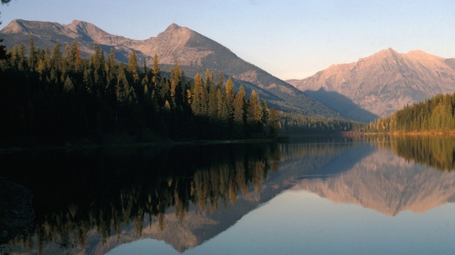 Personalized Financial Advice